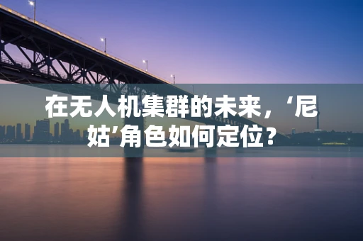 在无人机集群的未来，‘尼姑’角色如何定位？