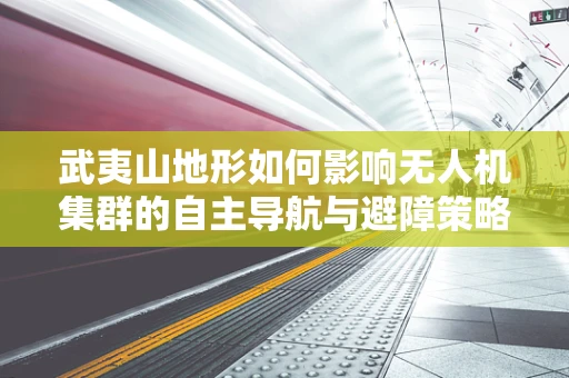 武夷山地形如何影响无人机集群的自主导航与避障策略？
