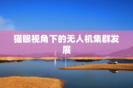 猫眼视角下的无人机集群发展