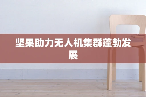 坚果助力无人机集群蓬勃发展