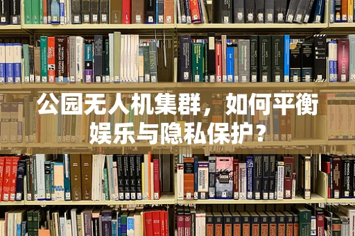 公园无人机集群，如何平衡娱乐与隐私保护？