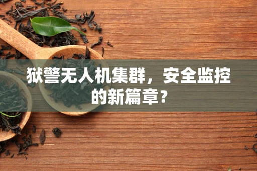 狱警无人机集群，安全监控的新篇章？