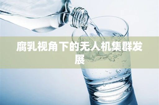 腐乳视角下的无人机集群发展
