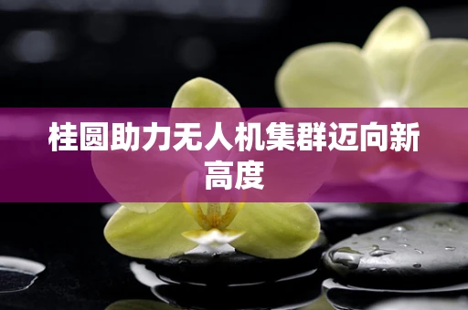 桂圆助力无人机集群迈向新高度