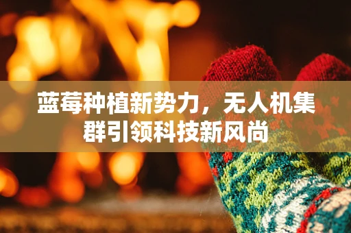 蓝莓种植新势力，无人机集群引领科技新风尚