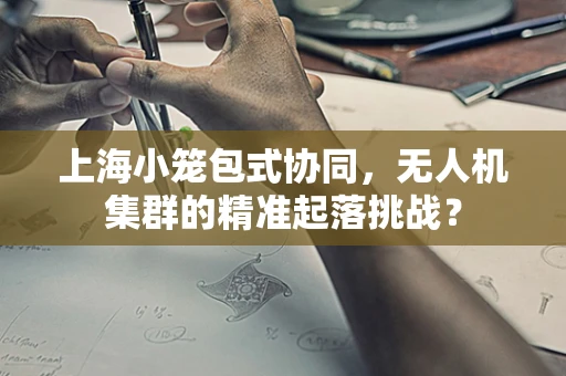 上海小笼包式协同，无人机集群的精准起落挑战？