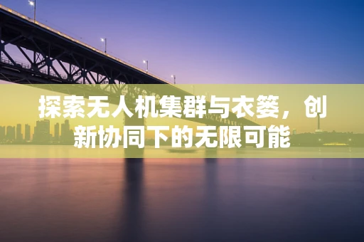 探索无人机集群与衣篓，创新协同下的无限可能