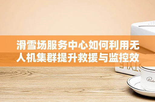滑雪场服务中心如何利用无人机集群提升救援与监控效率？