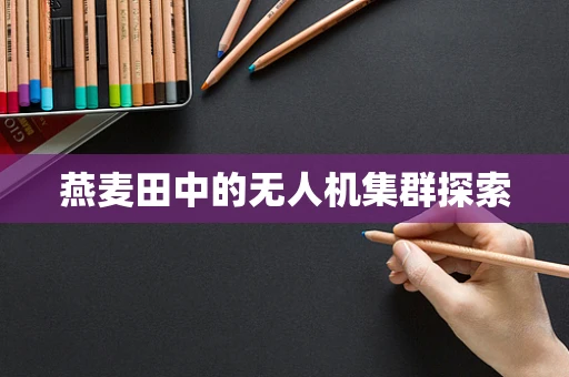 燕麦田中的无人机集群探索