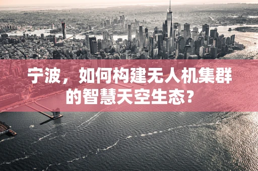 宁波，如何构建无人机集群的智慧天空生态？