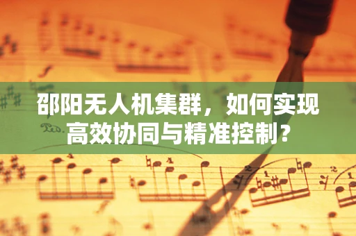 邵阳无人机集群，如何实现高效协同与精准控制？