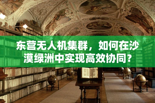 东营无人机集群，如何在沙漠绿洲中实现高效协同？