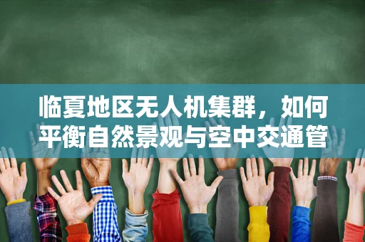 临夏地区无人机集群，如何平衡自然景观与空中交通管理？