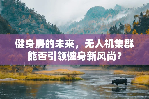 健身房的未来，无人机集群能否引领健身新风尚？