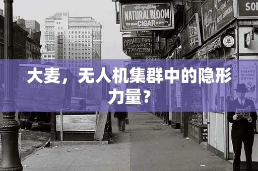 大麦，无人机集群中的隐形力量？