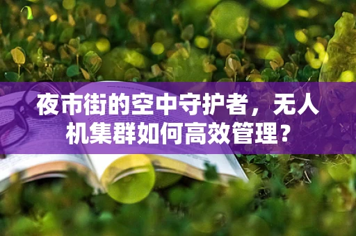 夜市街的空中守护者，无人机集群如何高效管理？