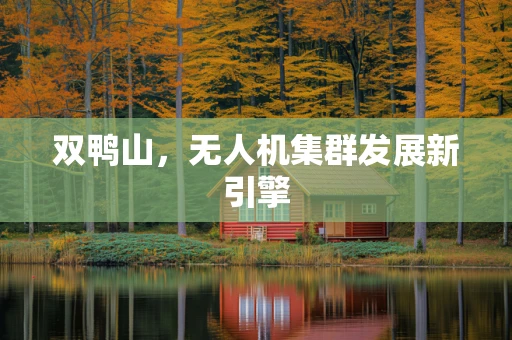 双鸭山，无人机集群发展新引擎