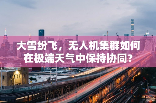 大雪纷飞，无人机集群如何在极端天气中保持协同？