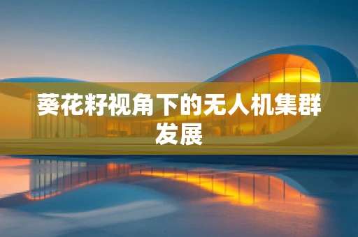 葵花籽视角下的无人机集群发展