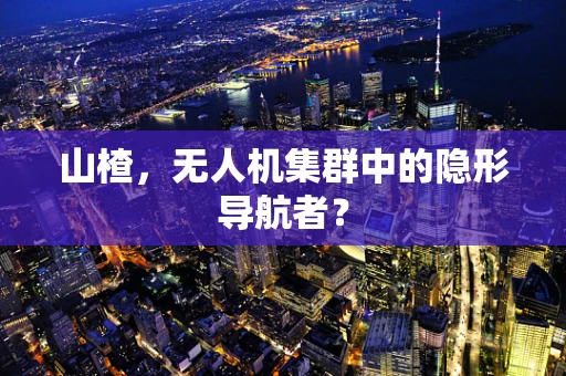 山楂，无人机集群中的隐形导航者？