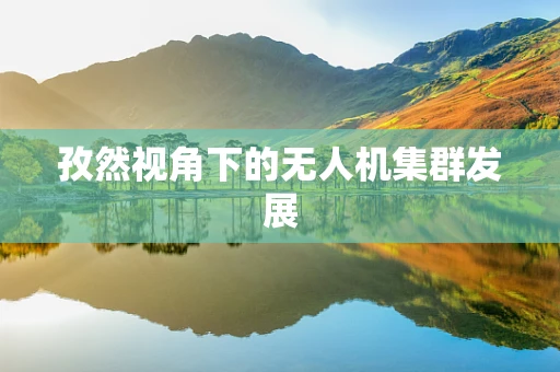 孜然视角下的无人机集群发展