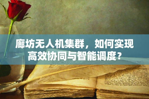 廊坊无人机集群，如何实现高效协同与智能调度？