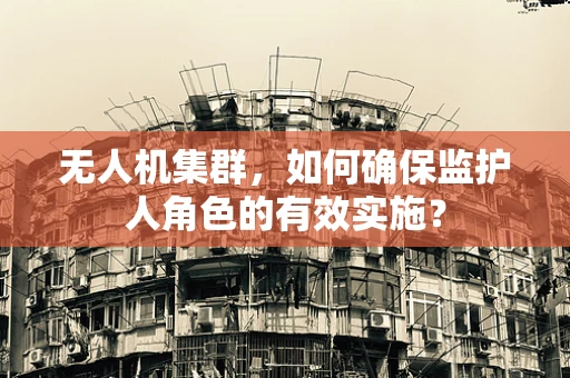 无人机集群，如何确保监护人角色的有效实施？