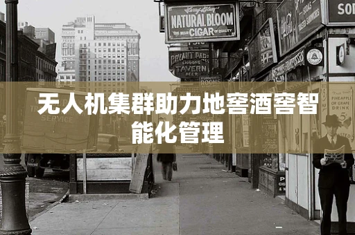 无人机集群助力地窖酒窖智能化管理
