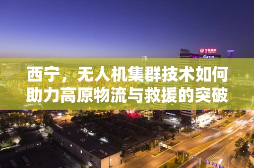 西宁，无人机集群技术如何助力高原物流与救援的突破？