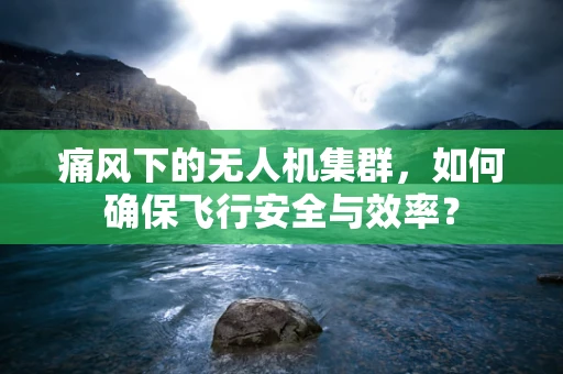 痛风下的无人机集群，如何确保飞行安全与效率？