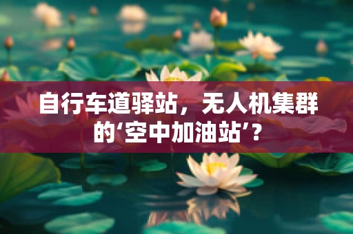 自行车道驿站，无人机集群的‘空中加油站’？