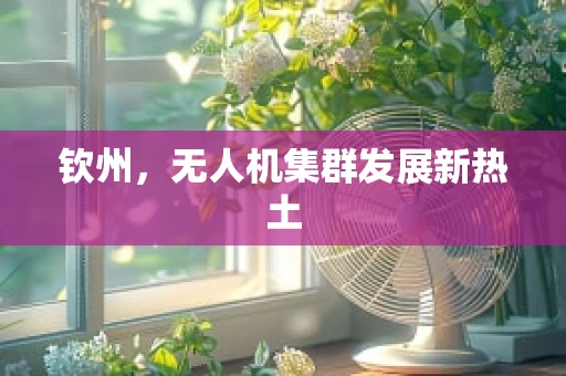 钦州，无人机集群发展新热土