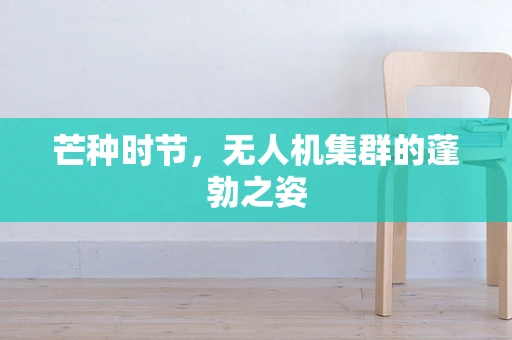 芒种时节，无人机集群的蓬勃之姿