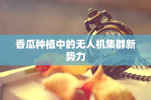 香瓜种植中的无人机集群新势力
