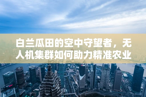 白兰瓜田的空中守望者，无人机集群如何助力精准农业？