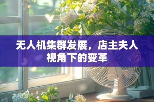 无人机集群发展，店主夫人视角下的变革