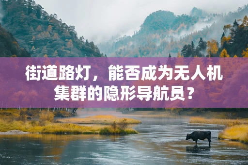 街道路灯，能否成为无人机集群的隐形导航员？