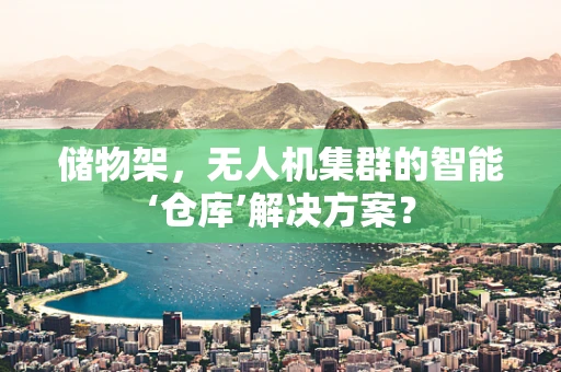 储物架，无人机集群的智能‘仓库’解决方案？