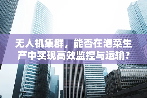 无人机集群，能否在泡菜生产中实现高效监控与运输？