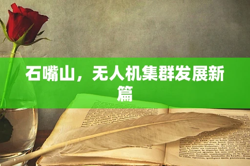 石嘴山，无人机集群发展新篇