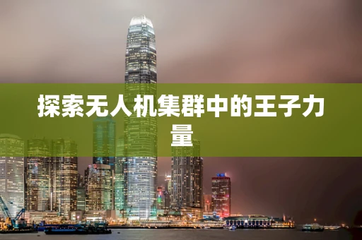 探索无人机集群中的王子力量