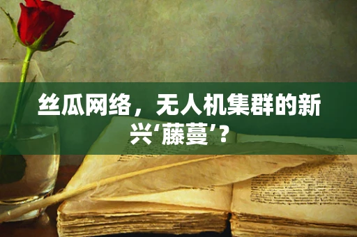 丝瓜网络，无人机集群的新兴‘藤蔓’？
