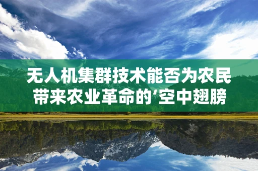 无人机集群技术能否为农民带来农业革命的‘空中翅膀’？
