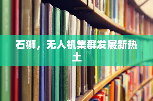 石狮，无人机集群发展新热土