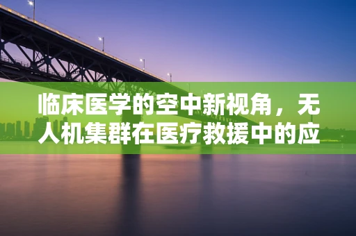 临床医学的空中新视角，无人机集群在医疗救援中的应用挑战？