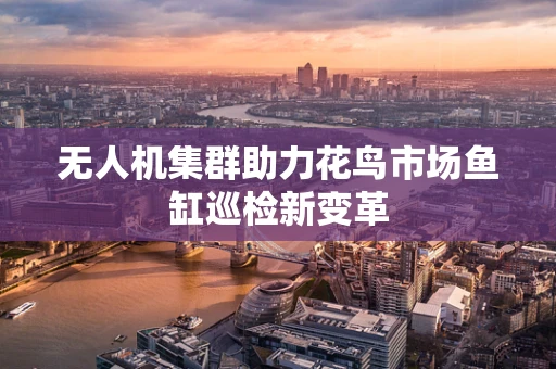 无人机集群助力花鸟市场鱼缸巡检新变革