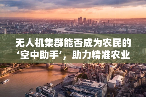 无人机集群能否成为农民的‘空中助手’，助力精准农业？