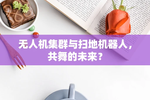 无人机集群与扫地机器人，共舞的未来？