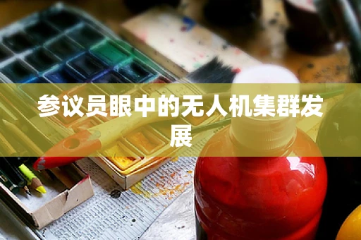 参议员眼中的无人机集群发展