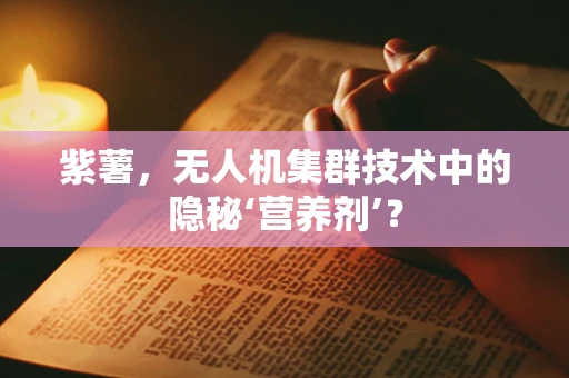 紫薯，无人机集群技术中的隐秘‘营养剂’？